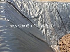 沼氣池防滲膜吹塑工藝：創新之路，守護綠色能