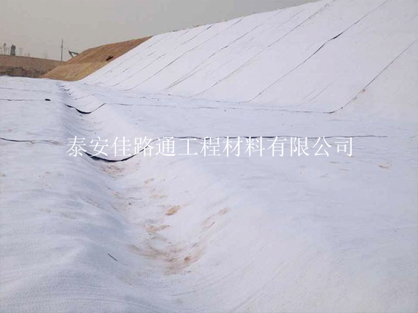 標題：智馭自然之力：透水土工布使用注意事項新視角