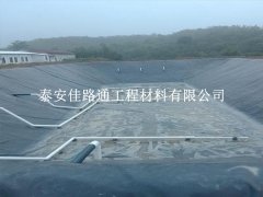 沼氣池防滲膜施工質(zhì)量控制技巧：確保高效與持